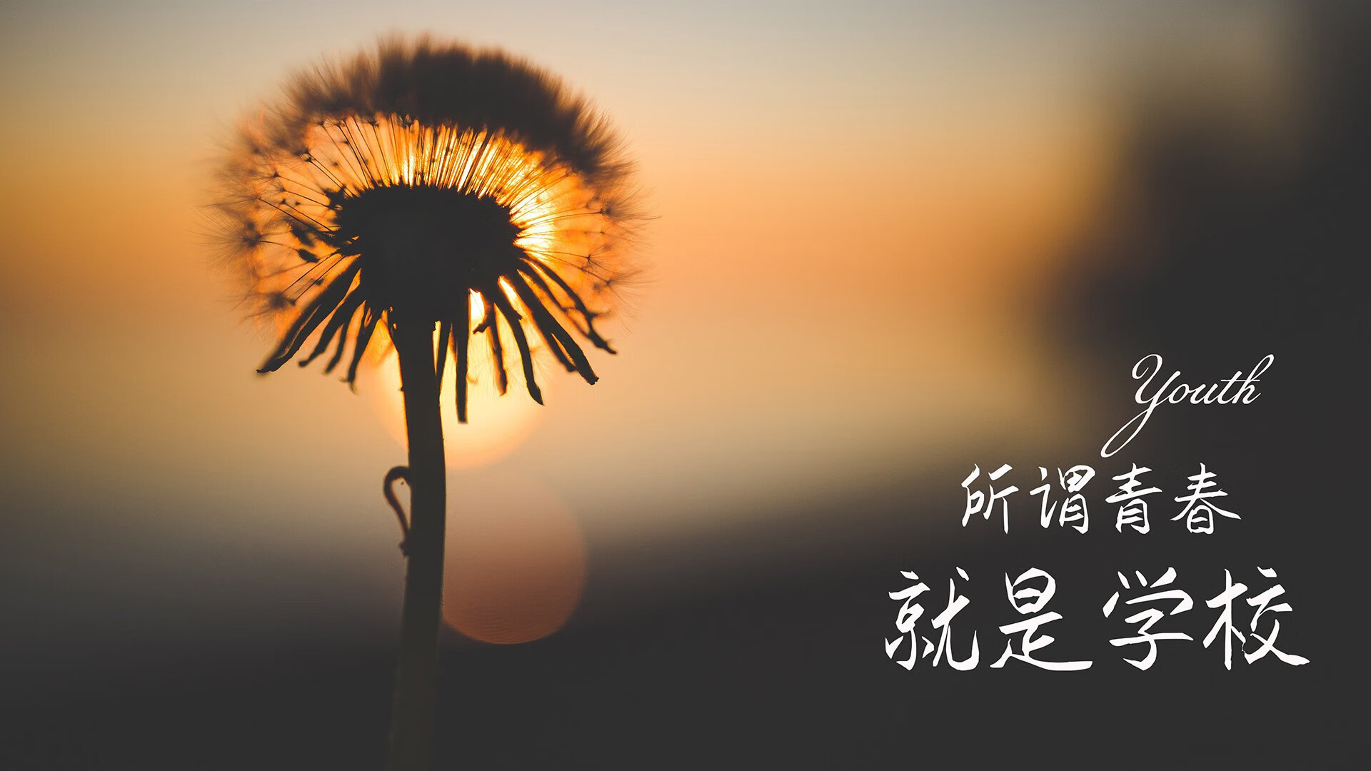便宜又好吃的海鲜有哪些呢（便宜一点的海鲜品种）