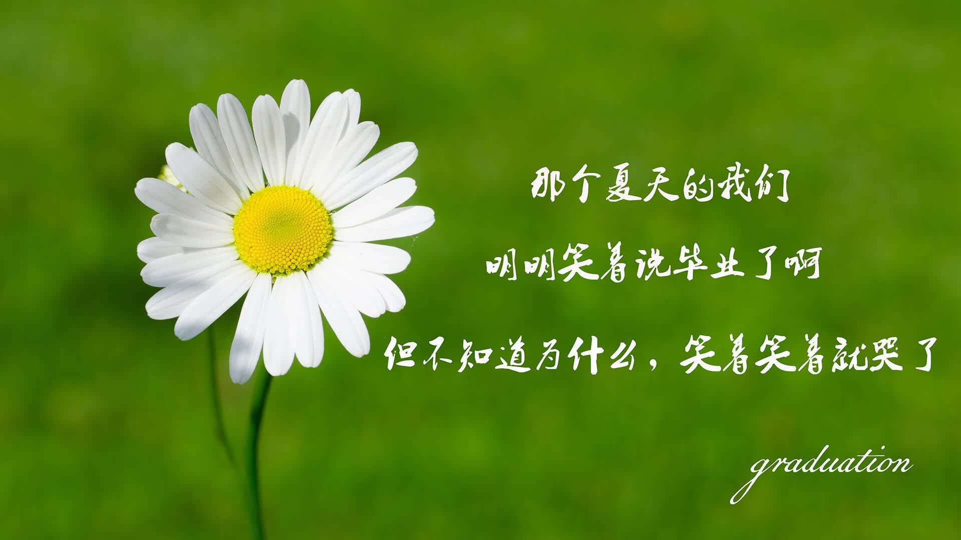 海产品包括哪些东西呢图片大全(海产品有哪些图片及名称介绍)